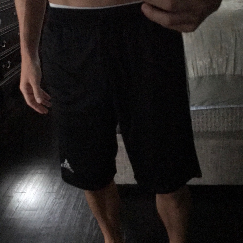 Bundle of 2 Adidas Climalite Shorts